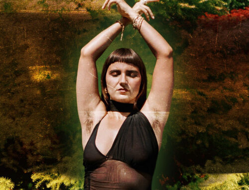 AySay: AySay’ın özü diaspora hikâyesi